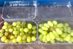 WhatsApp-Image-2024-09-23-at-16.05.20-1