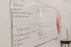 WhatsApp-Image-2022-05-06-at-17.24.11-1