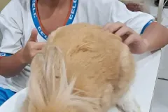 WhatsApp-Image-2024-09-16-at-18.06.46-1