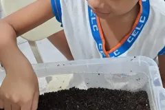 WhatsApp-Image-2024-09-16-at-18.07.05-1