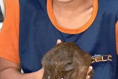 WhatsApp-Image-2024-09-16-at-18.10.12-2