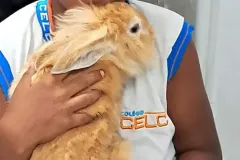 WhatsApp-Image-2024-09-16-at-18.10.15-1