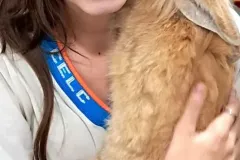 WhatsApp-Image-2024-09-16-at-18.10.16