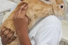 WhatsApp-Image-2024-09-16-at-18.10.18-1