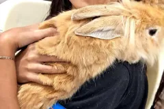 WhatsApp-Image-2024-09-16-at-18.10.22