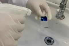 WhatsApp-Image-2022-05-03-at-18.21.30