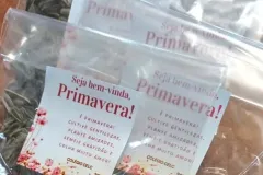 WhatsApp-Image-2024-09-23-at-16.05.14-1