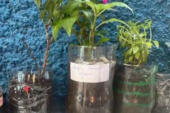 WhatsApp-Image-2024-09-23-at-16.05.16-2