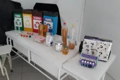 PALESTRA DAS PROFISSÕES