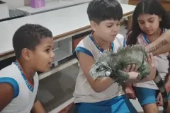 WhatsApp-Image-2023-11-09-at-17.44.29-1