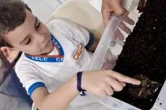 WhatsApp-Image-2024-09-16-at-18.07.09