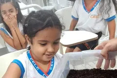 WhatsApp-Image-2024-09-16-at-18.07.11-1