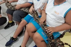 WhatsApp-Image-2024-09-16-at-18.07.16