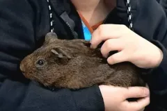 WhatsApp-Image-2024-09-16-at-18.10.05