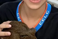 WhatsApp-Image-2024-09-16-at-18.10.09