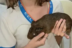 WhatsApp-Image-2024-09-16-at-18.10.12-1