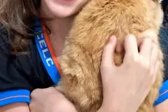 WhatsApp-Image-2024-09-16-at-18.10.22-2