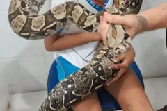 WhatsApp-Image-2024-09-16-at-18.10.46-1