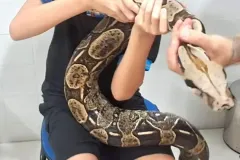 WhatsApp-Image-2024-09-16-at-18.10.47