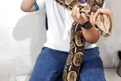 WhatsApp-Image-2024-09-16-at-18.10.49-2