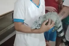 WhatsApp-Image-2023-11-09-at-17.44.32