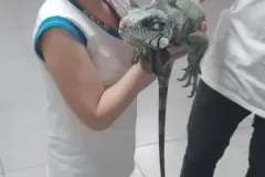 WhatsApp-Image-2023-11-09-at-17.44.36-2