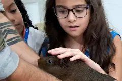 WhatsApp-Image-2024-09-16-at-18.06.26-2