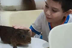 WhatsApp-Image-2024-09-16-at-18.06.29