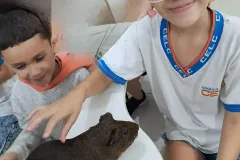 WhatsApp-Image-2024-09-16-at-18.06.30-2