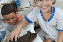 WhatsApp-Image-2024-09-16-at-18.06.30-3