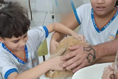 WhatsApp-Image-2024-09-16-at-18.06.50-2