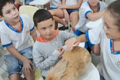 WhatsApp-Image-2024-09-16-at-18.06.51