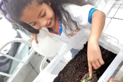 WhatsApp-Image-2024-09-16-at-18.07.11-2