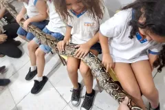 WhatsApp-Image-2024-09-16-at-18.07.12-3