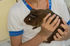 WhatsApp-Image-2024-09-16-at-18.10.06