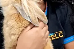 WhatsApp-Image-2024-09-16-at-18.10.22-1