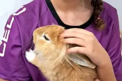 WhatsApp-Image-2024-09-16-at-18.10.24