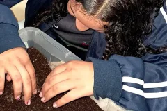 WhatsApp-Image-2024-09-16-at-18.10.34