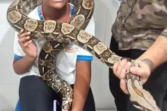 WhatsApp-Image-2024-09-16-at-18.10.47-2