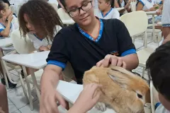 WhatsApp-Image-2024-09-16-at-18.10.51-2