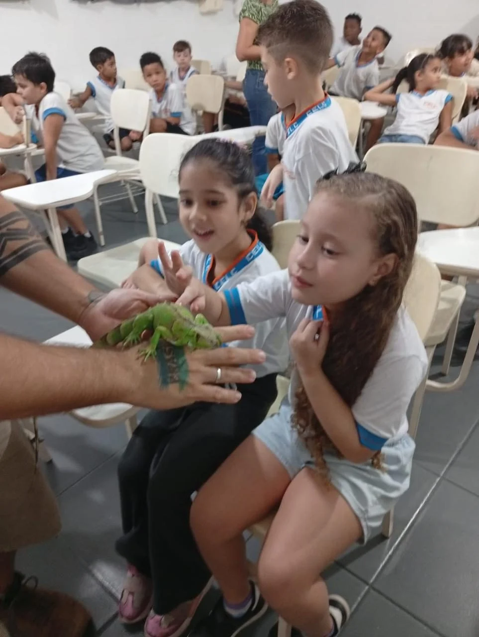 PROJETO FAUNA 2026