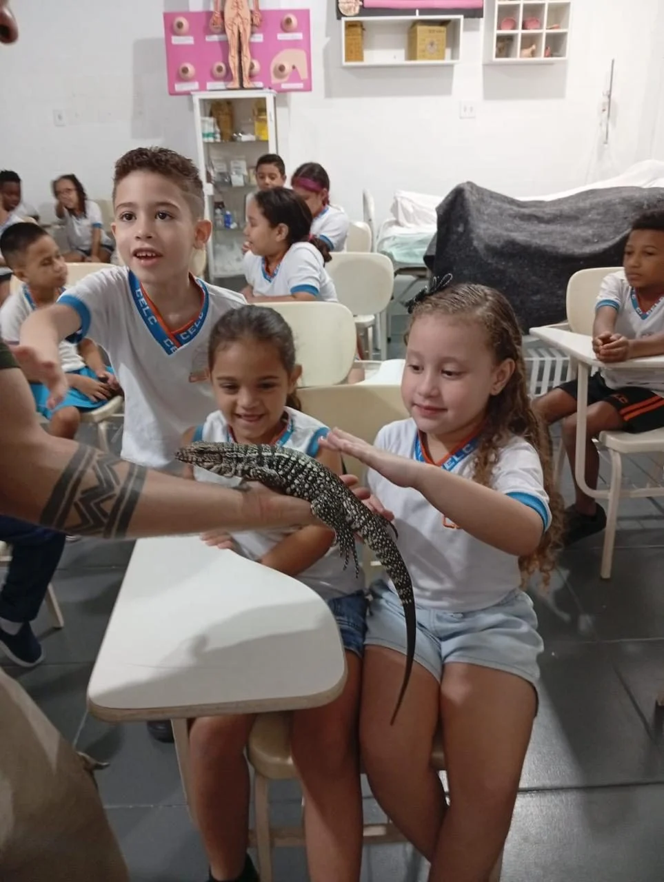 PROJETO FAUNA 2026