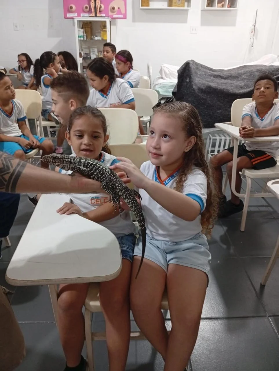 PROJETO FAUNA 2026