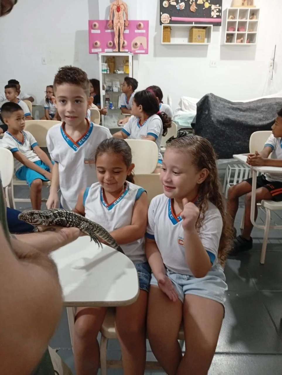 PROJETO FAUNA 2026
